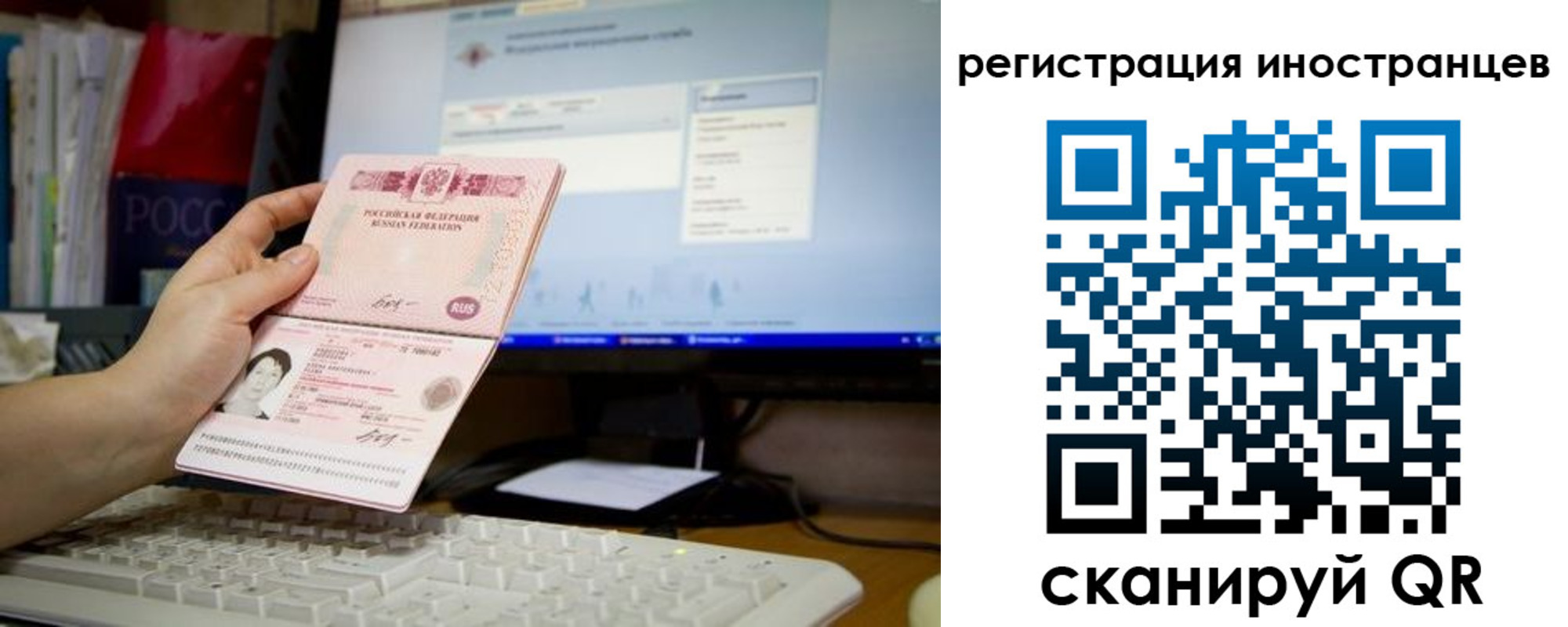 прописка 2025 в Электрогорске